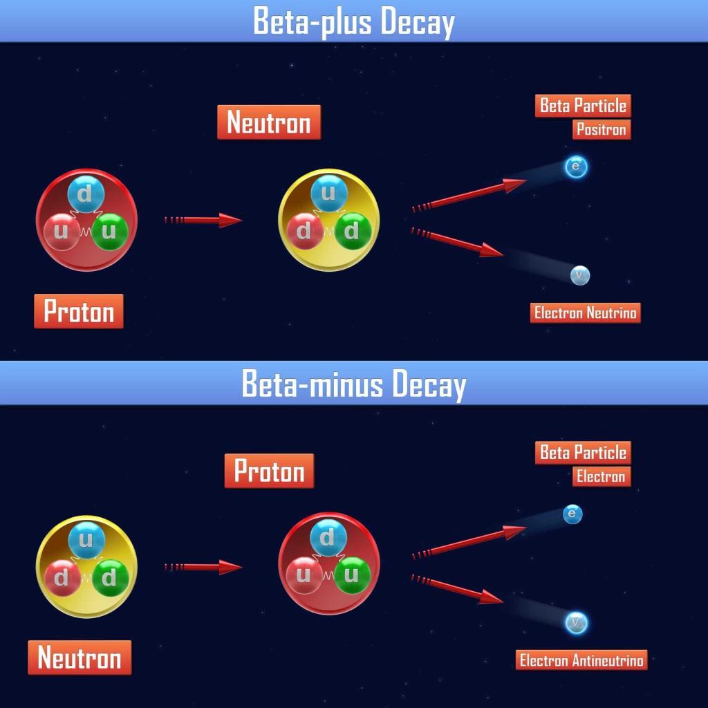 Beta particles from radioactive decay include beta-minus electrons and beta-plus positrons