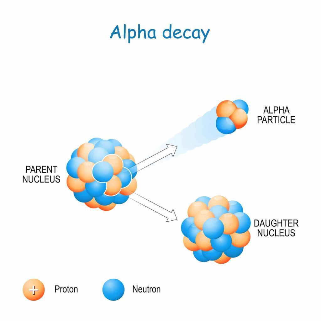 Alpha particles, discovered by Rutherford, consist of two protons and neutrons