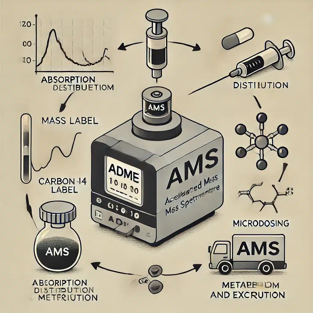 Accelerated Mass Spectrometry enhances drug development through precise pharmacokinetic analysis.