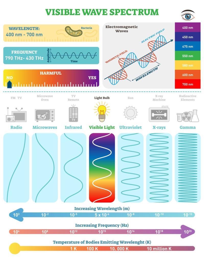 Electromagnetic waves transfer energy through space, enabling communication and medical imaging