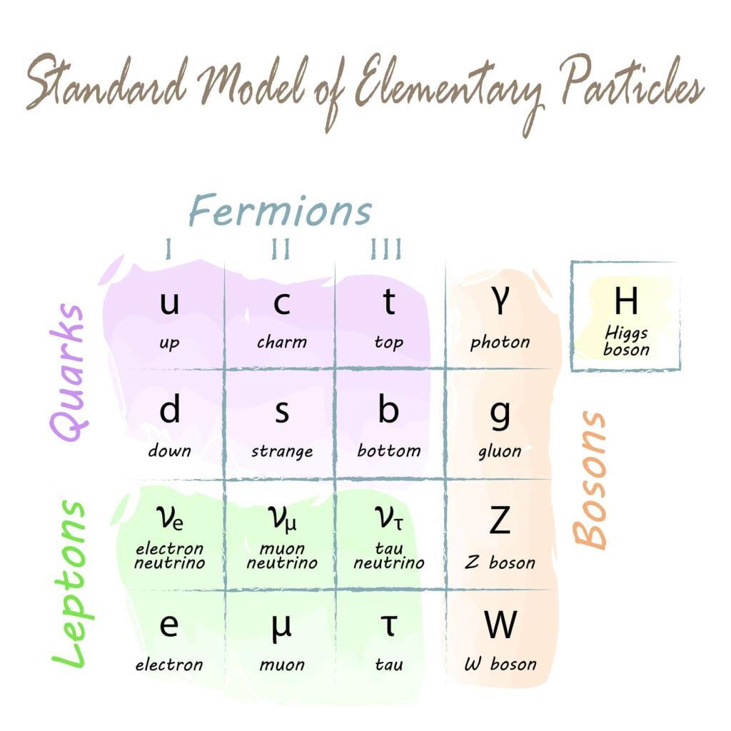 Fundamental particles in physics include quarks, leptons, and force-carrying bosons