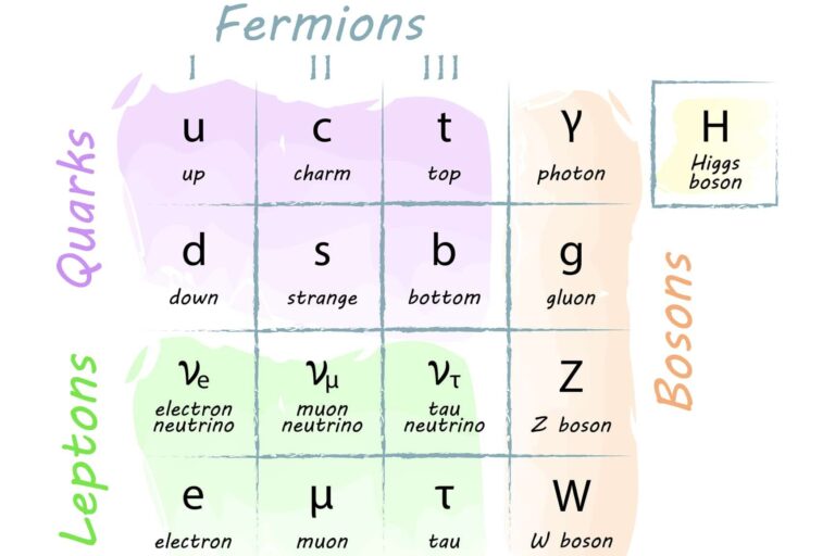 Fundamental particles in physics include quarks, leptons, and force-carrying bosons