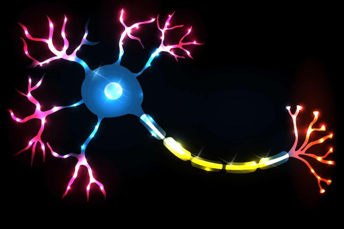 Motor neurone disease diagnosis improves with research advancements and innovative insights