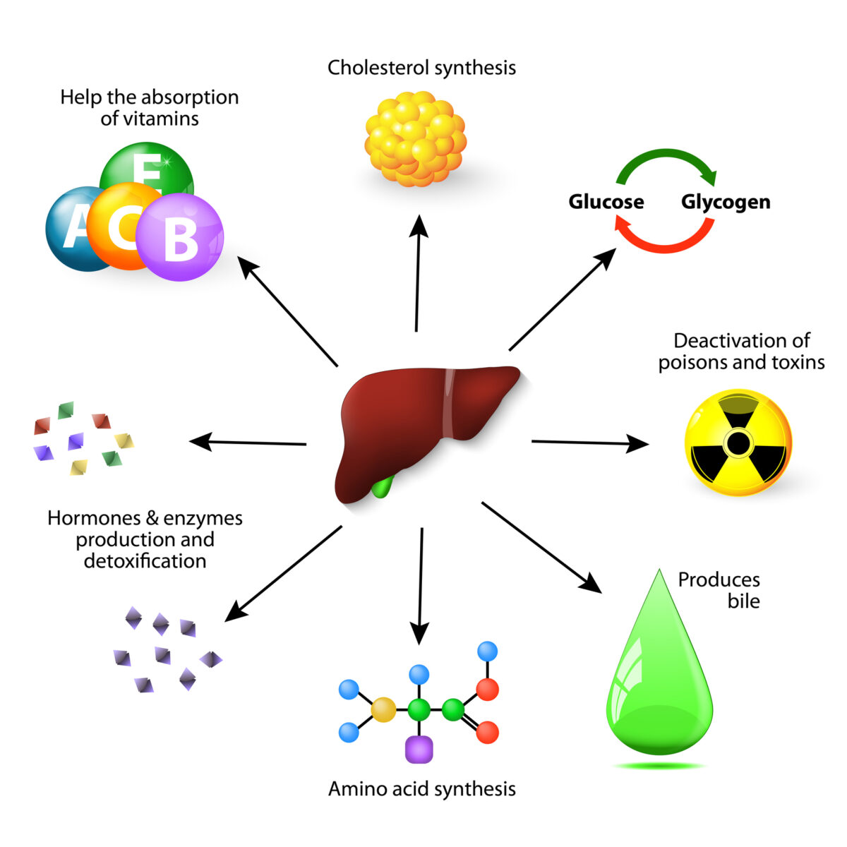 Radioisotope tracers illuminate complex molecular pathways within cells