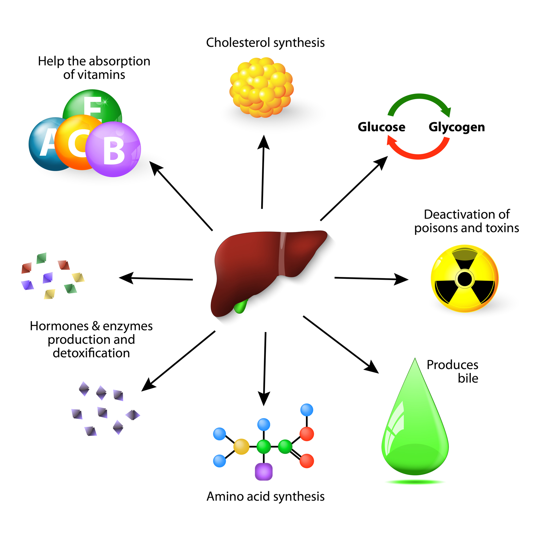Radioisotope tracers illuminate complex molecular pathways within cells