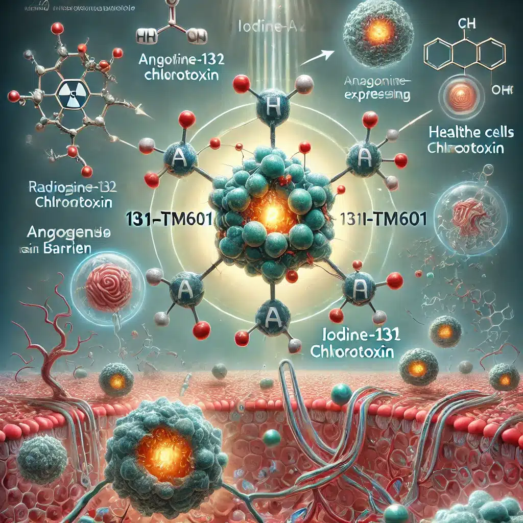 131I-TM601 selectively binds tumours, delivering targeted radiation for therapy