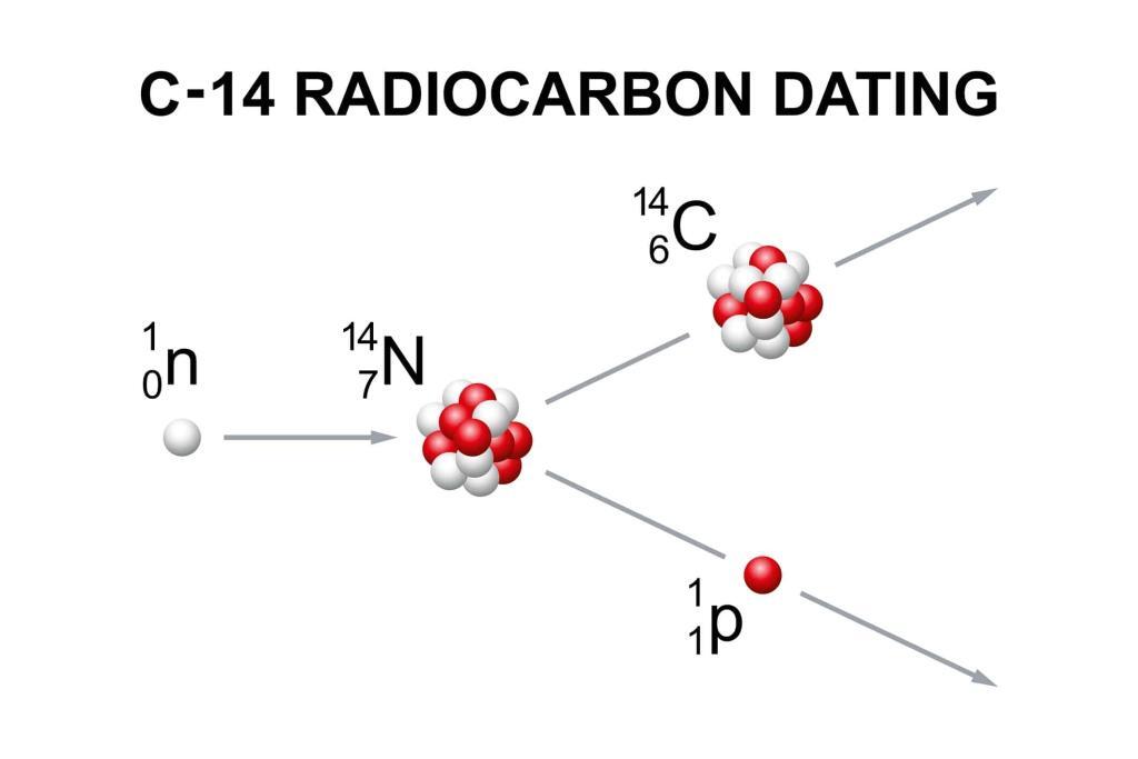 The groundbreaking discovery of carbon-14 revolutionised radiocarbon dating and medicine