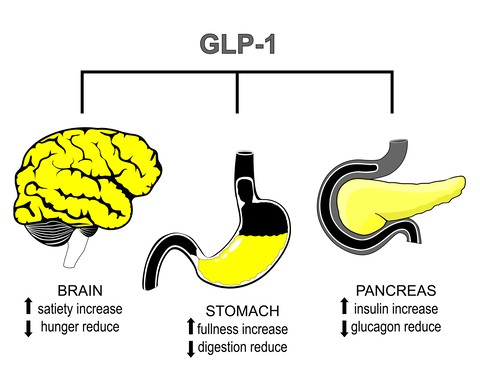 Glucagon-Like Peptide-1 Weight Loss Therapy drugs