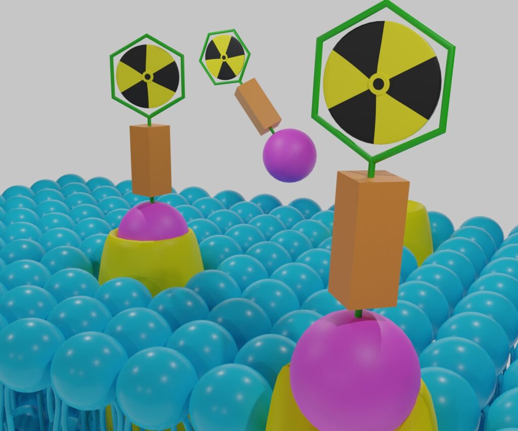 Radiotheranostics and radiotherapeutics integrate diagnosis and treatment for cancer management