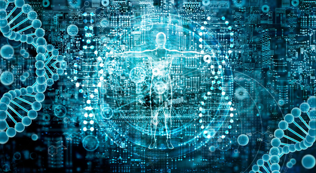 Electron Paramagnetic Resonance Imaging maps tissue oxygenation in biomedical research applications