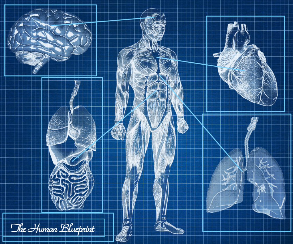 Journal Journal publishes imaging research on diagnosis, therapy, MRI, CT, ultrasound