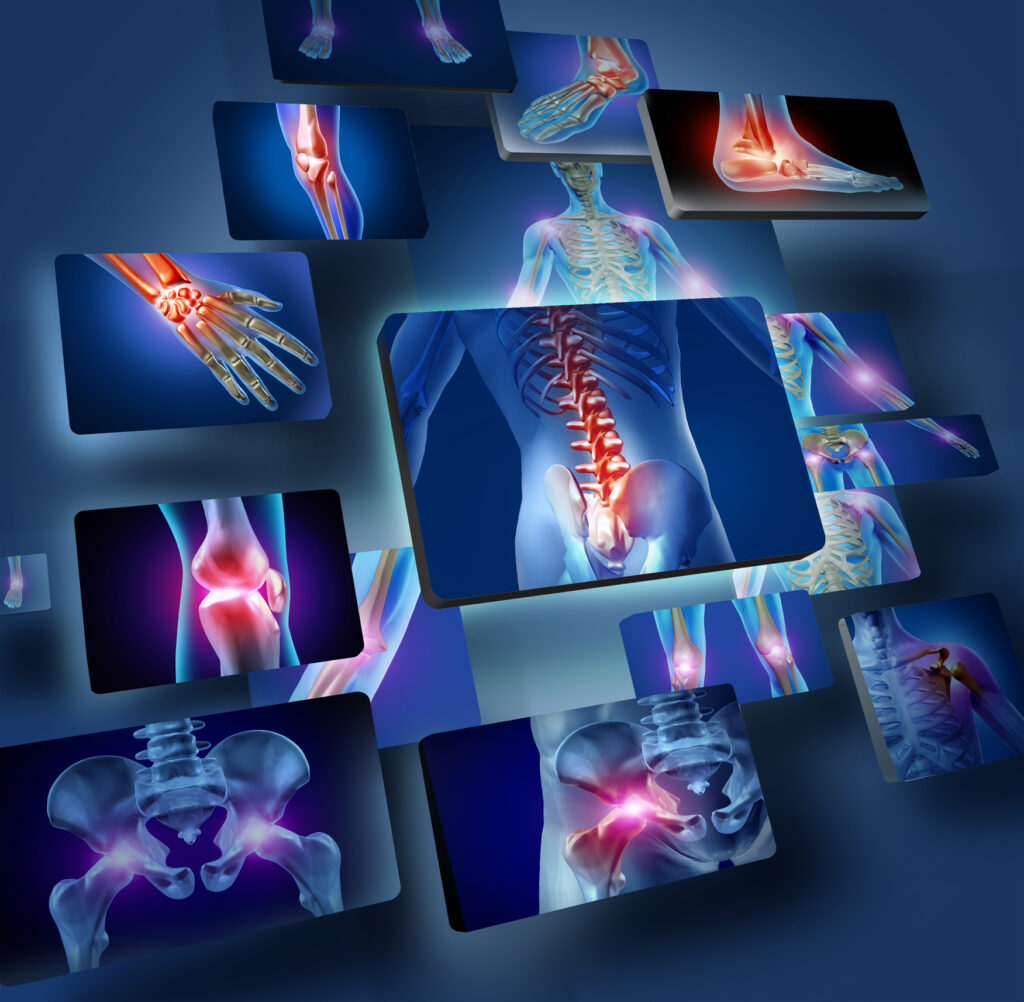 Human Anatomy Medical human anatomy studies body structures, organs, systems, and physical functions