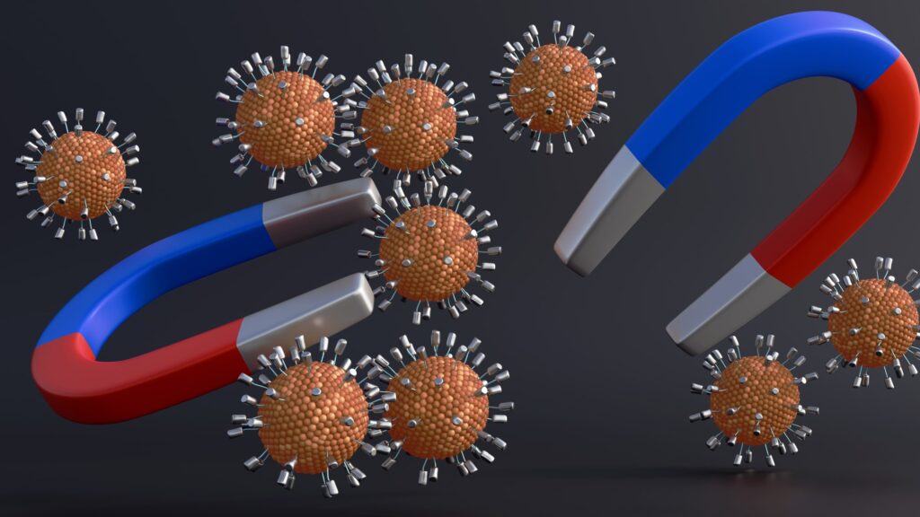 Superparamagnetic iron oxide nanoparticles enhance MRI contrast and targeted delivery
