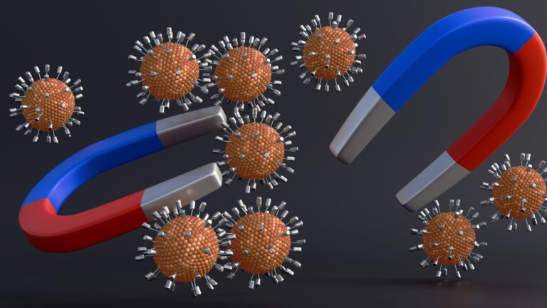 Superparamagnetic iron oxide nanoparticles enhance MRI contrast and targeted delivery
