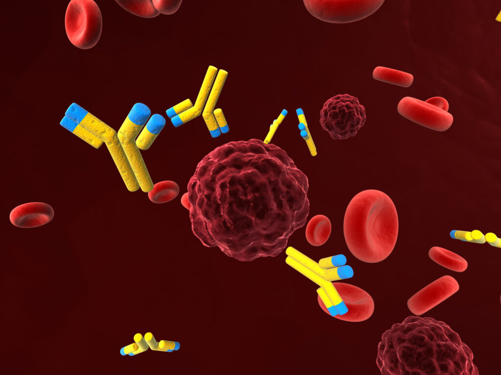 Recombinant antibody sequences are engineered using genetic techniques for precision