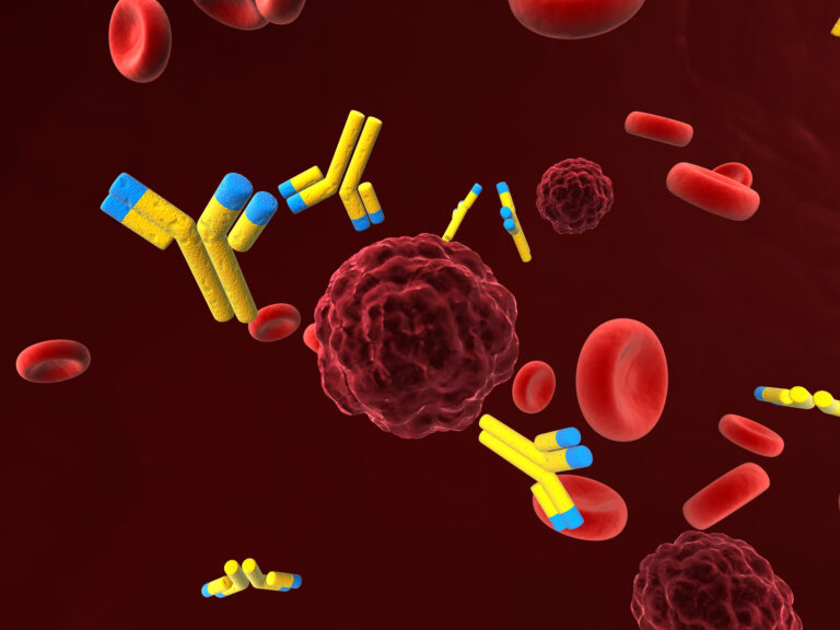 Recombinant antibody sequences are engineered using genetic techniques for precision