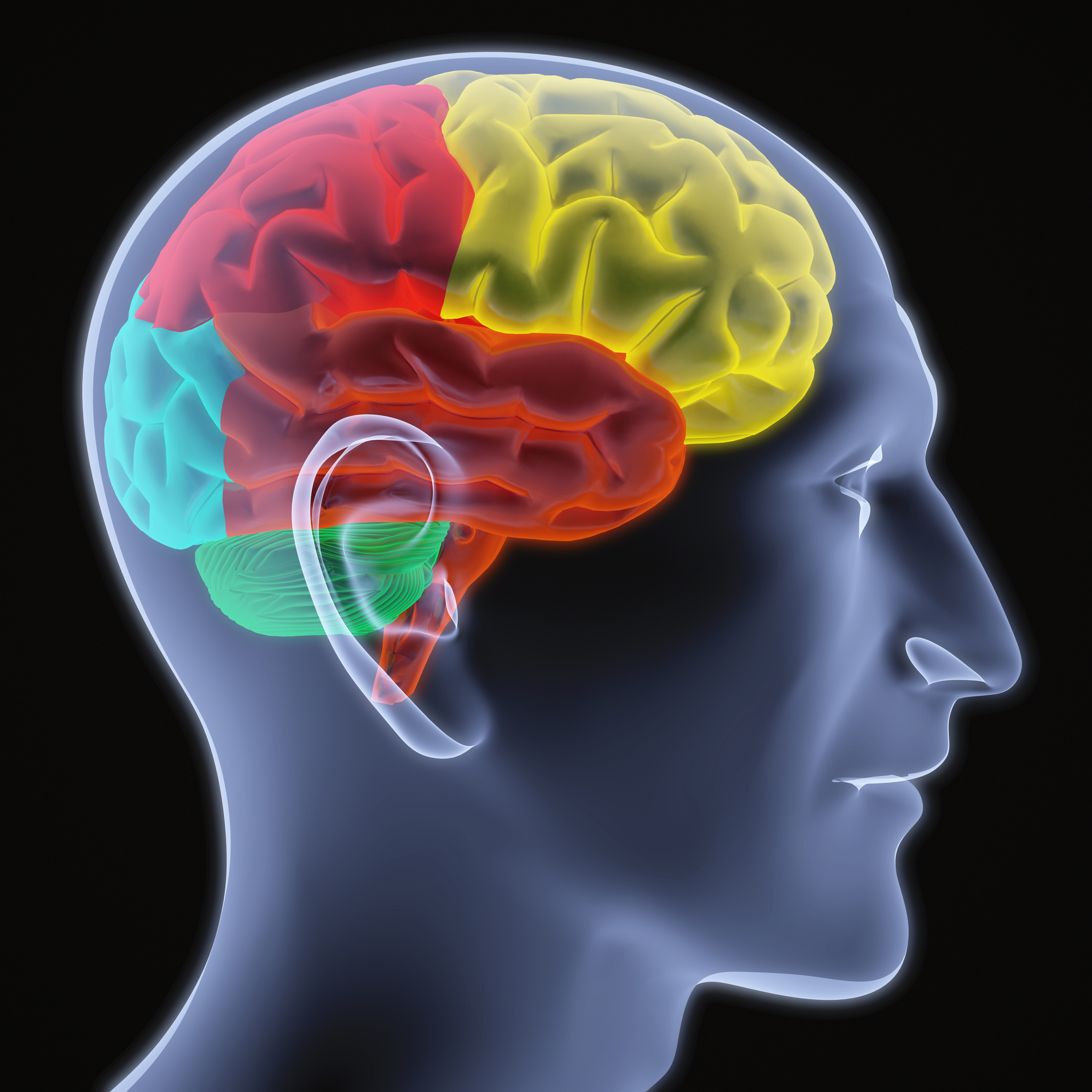 Radiology helps visualise addiction’s impact and guides personalised treatment strategies