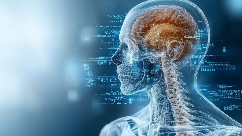 Neuroimaging reveals how drugs affect brain function and potential harm