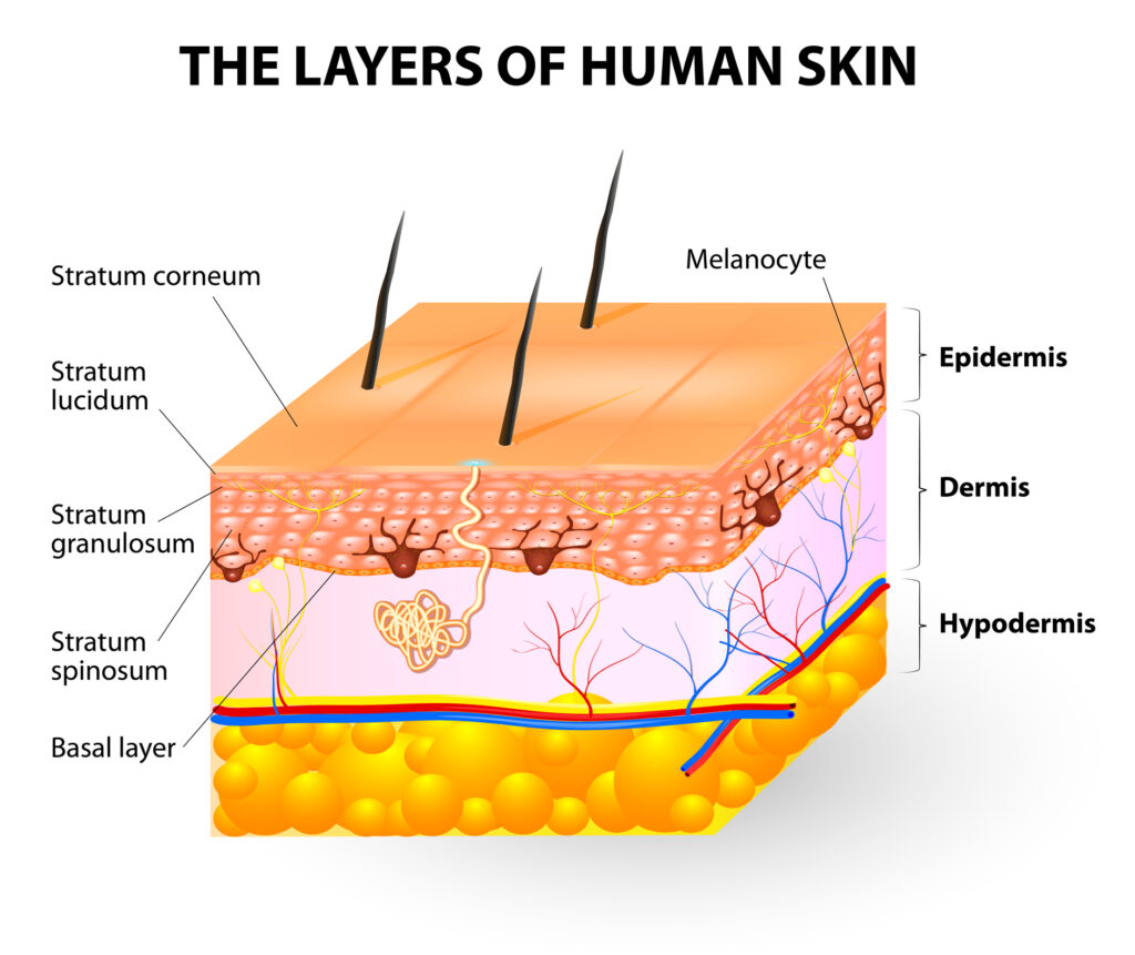 Skin care clinics and deep tissue massage enhance wellness and confidence