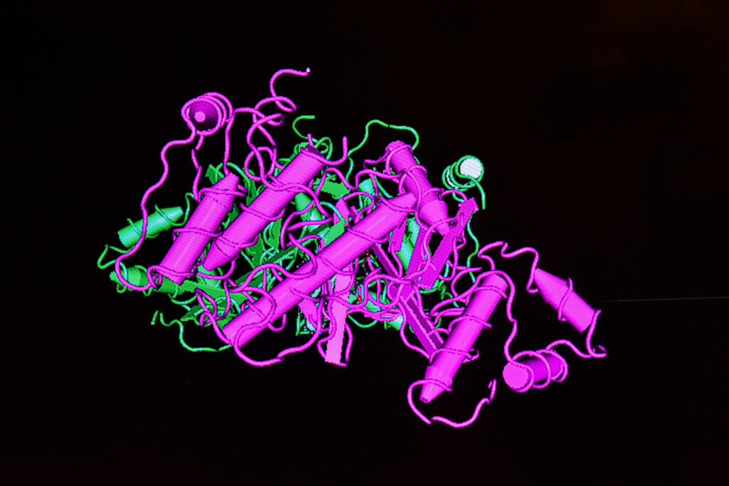 Active proteins ensure reliable results in research, diagnostics, and industry