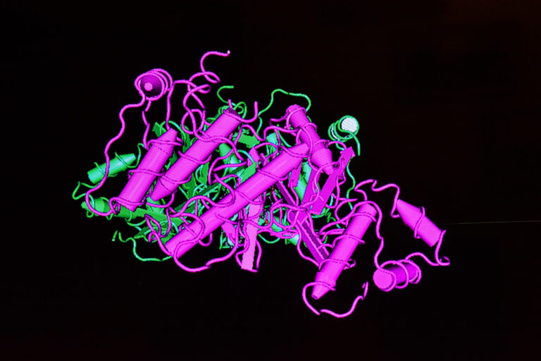 Active proteins ensure reliable results in research, diagnostics, and industry