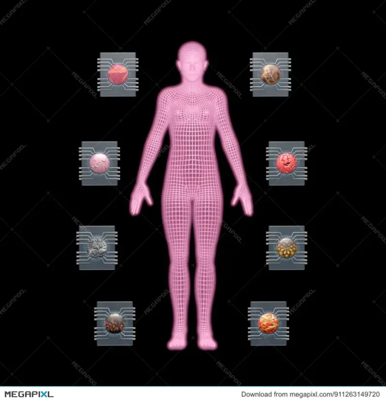 Human-on-a-chip links organs to study drug responses more realistically in