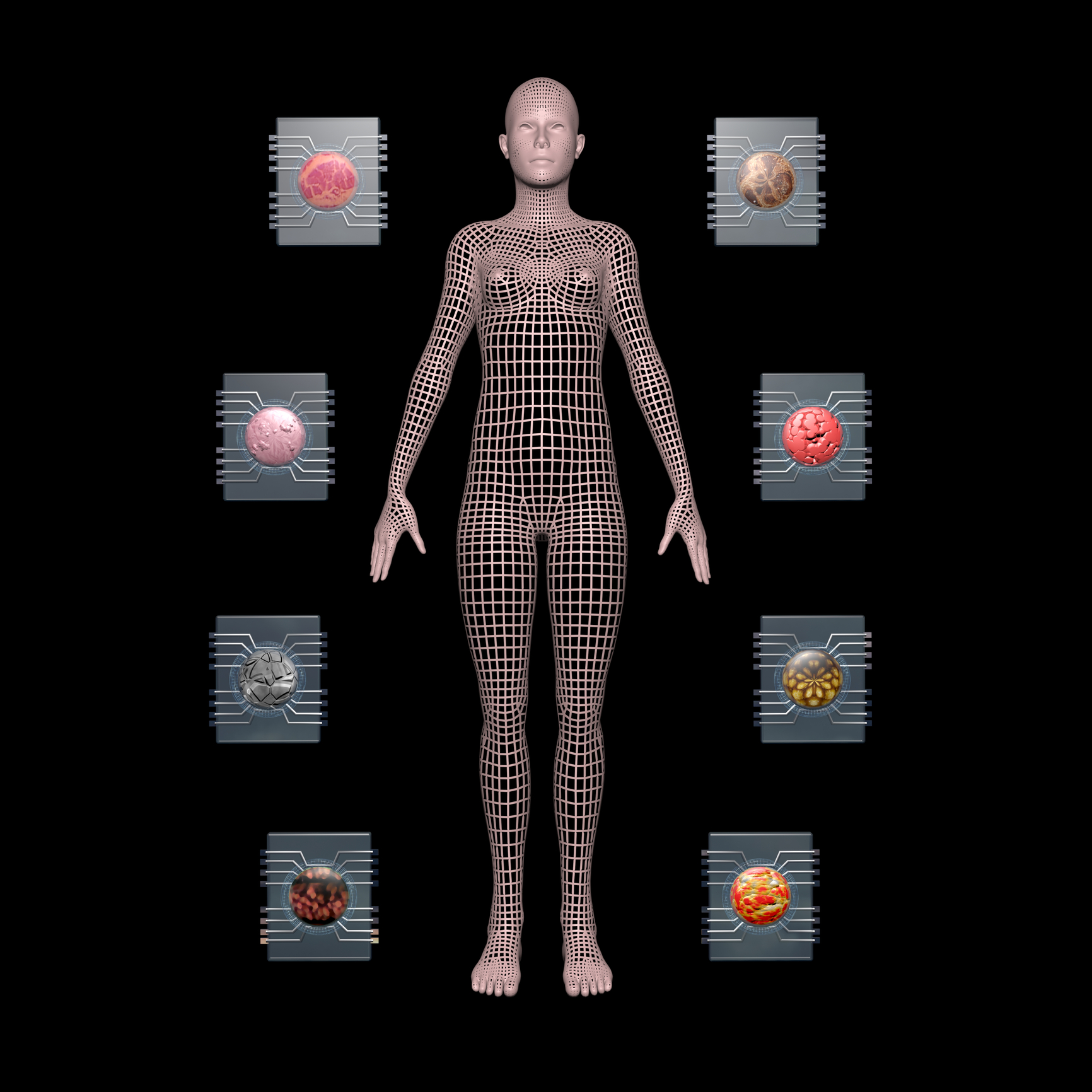 human of a chip for ADME studies used in drug discovery