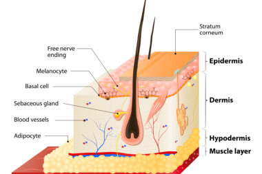 Anti-wrinkle injections reduce facial lines, improving appearance and confidence safely