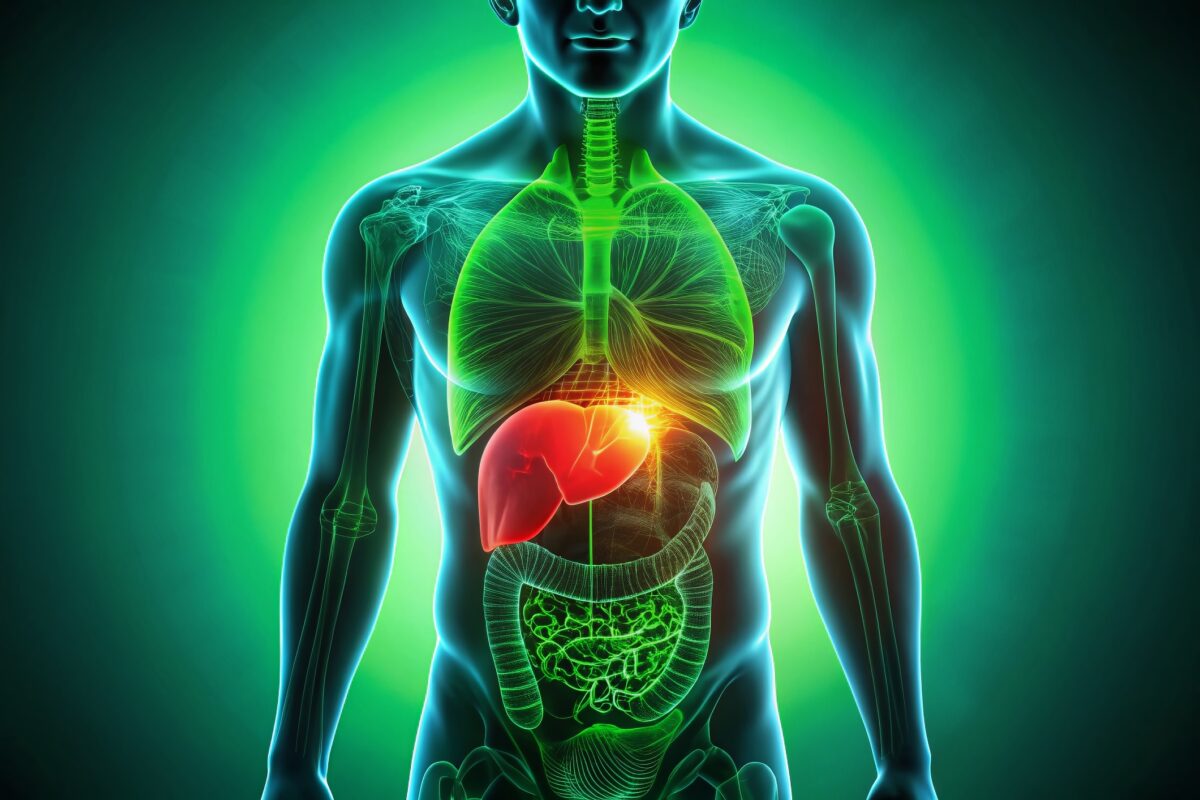 Technetium-99m sulfur colloid enables effective imaging of liver and spleen