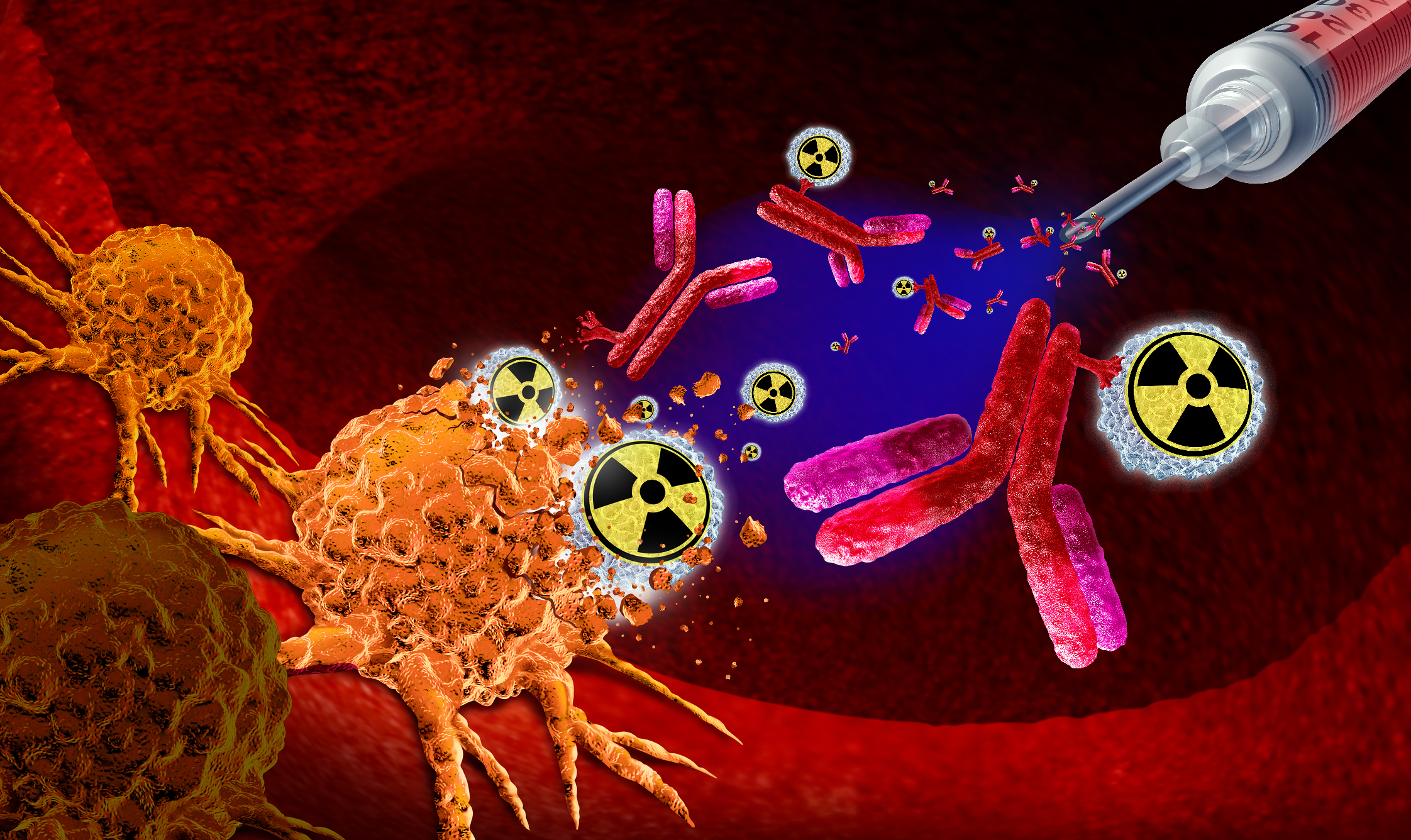Radiolabelled peptides enable precise molecular imaging of targeted biological processes